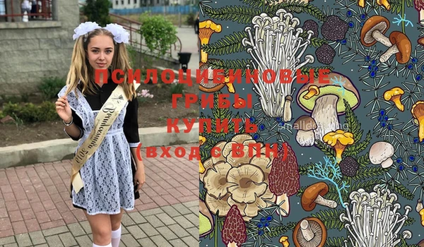 MESCALINE Володарск