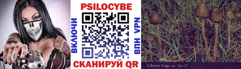 Галлюциногенные грибы MAGIC MUSHROOMS  Купить  Кузнецк 